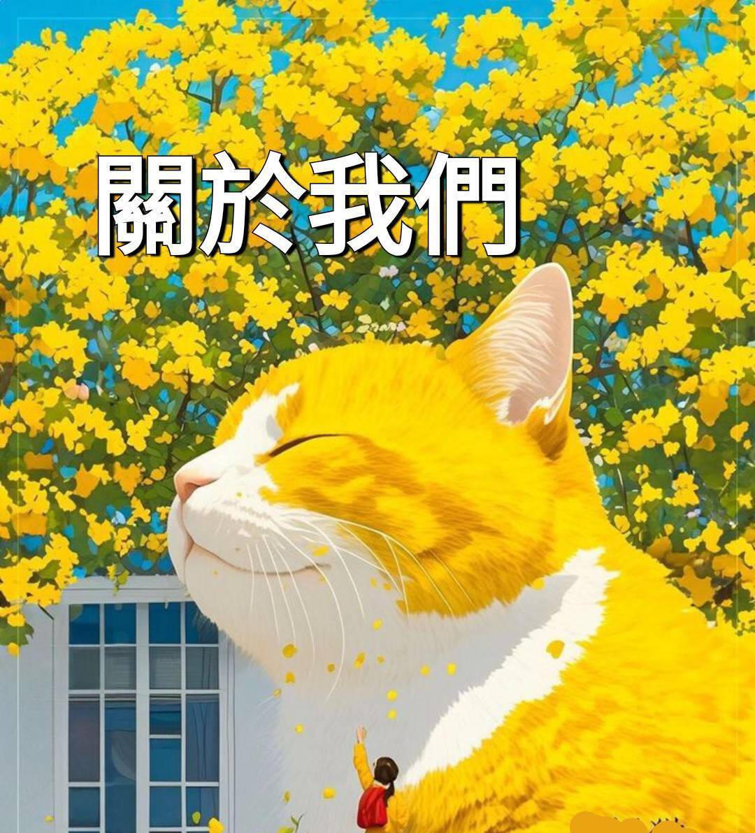 南港蒞百加美容保養療程 臉部保養示意圖